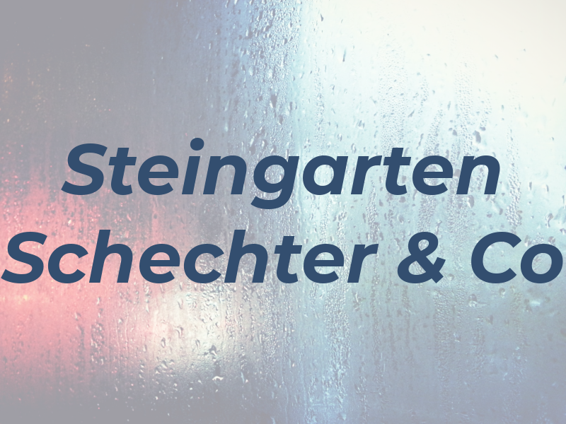 Steingarten Schechter & Co