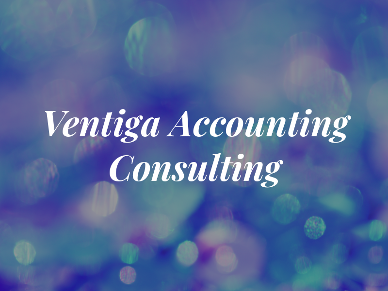 Ventiga Accounting & Consulting