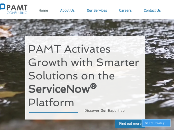 Pamt Consulting