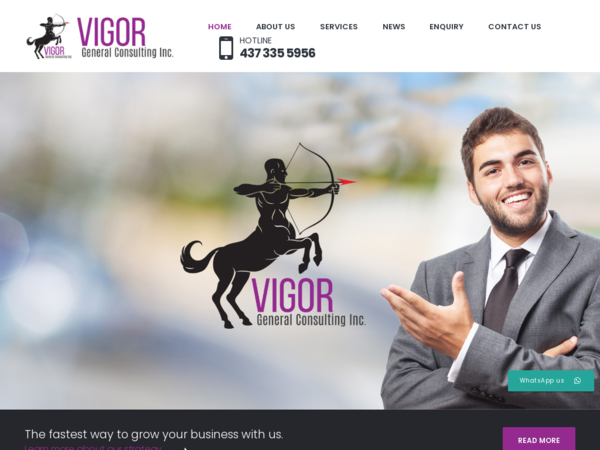 Vigor General Consulting INC