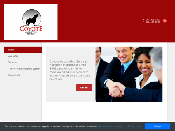 Coyote Accounting Services