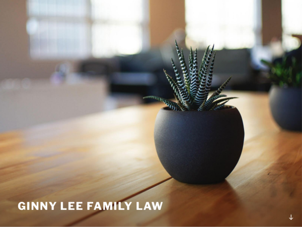 Ginny Lee Family Law