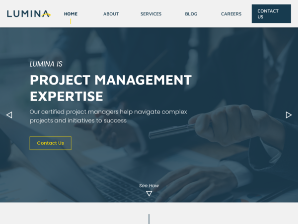 Lumina Management Consulting