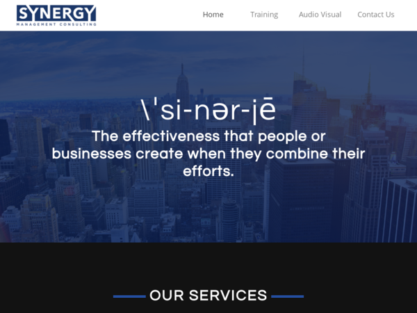 Synergy Management Consulting Professional Consulting