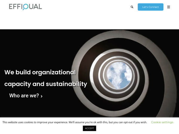 Effiqual - Consulting Firm