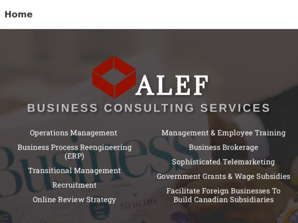 Alef Business Consulting Services