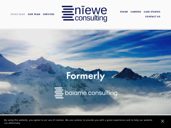 Niewe Consulting