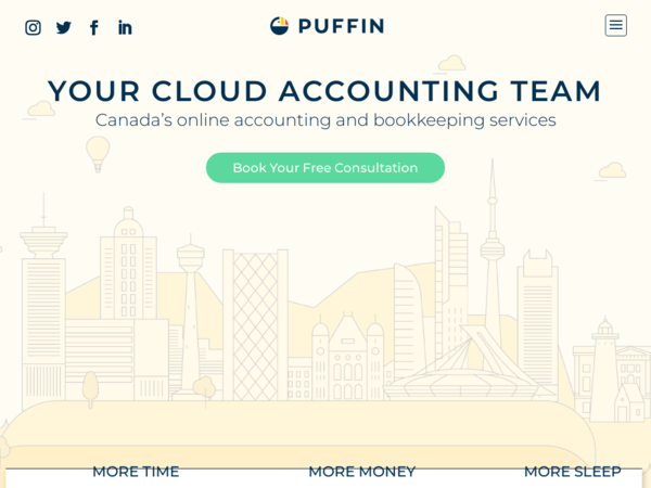 Puffin Consulting Group