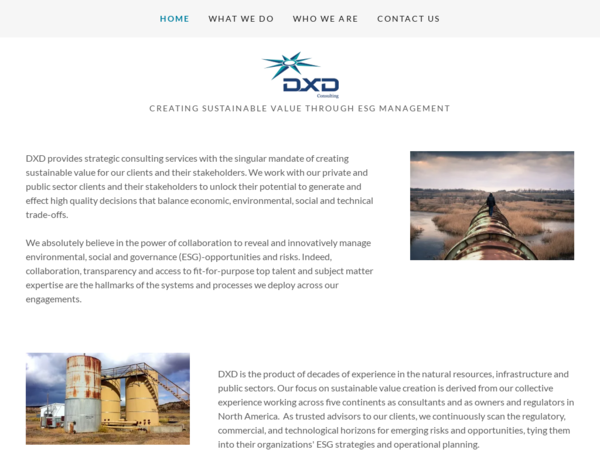 DXD Consulting