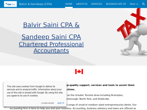 Balvir Saini, CPA & Sandeep Saini, CPA