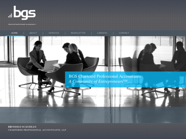 BGS Chartered Professional Accountants