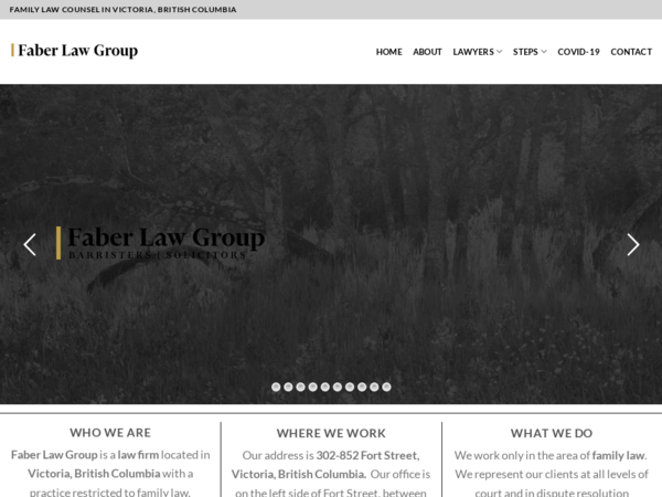Faber Law Group