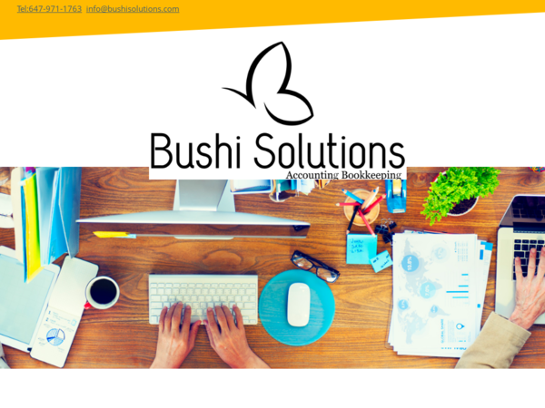 Bushi Solutions