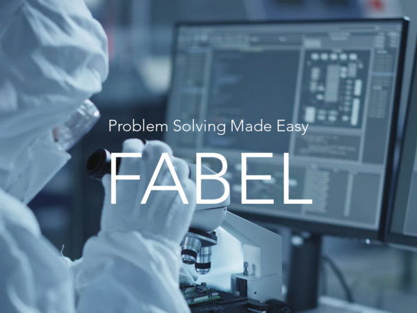 Fabel Consulting