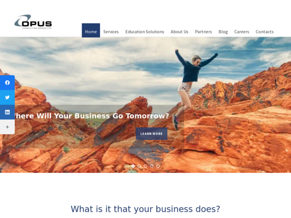 Opus Consulting Group