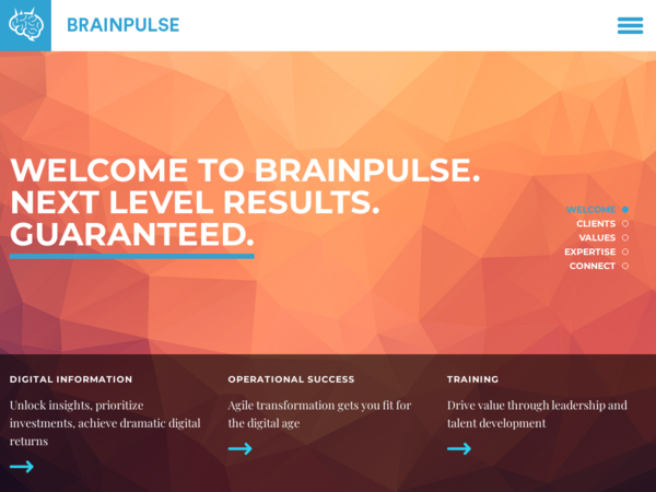 Brainpulse Consulting